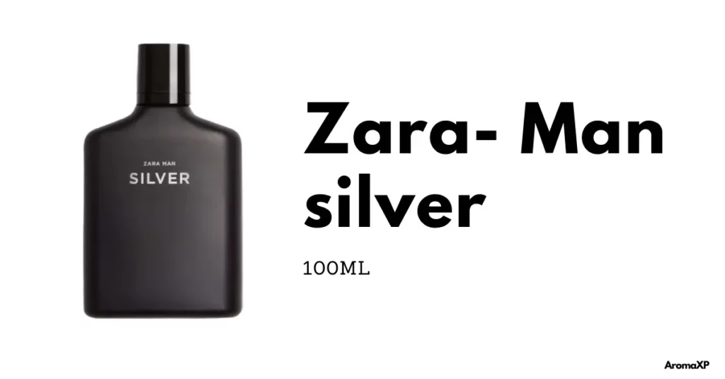 10 Best Zara Perfumes for Men in 2023 | Zara Man Silver
