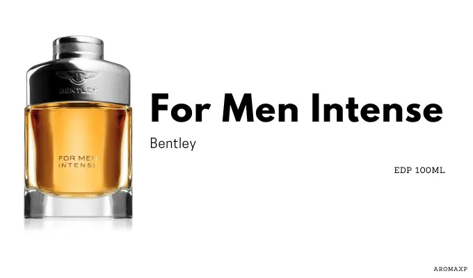 Best Long-Lasting Perfumes For Men |Bentley- For Men Intense