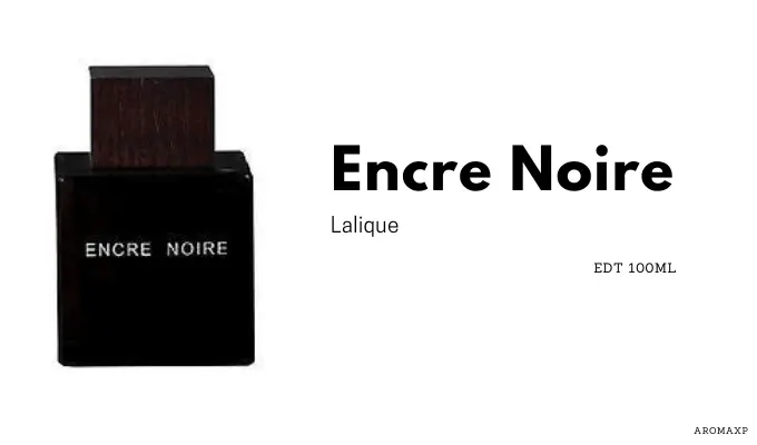 Best Long-Lasting Perfumes For Men | Encre Noire Lalique